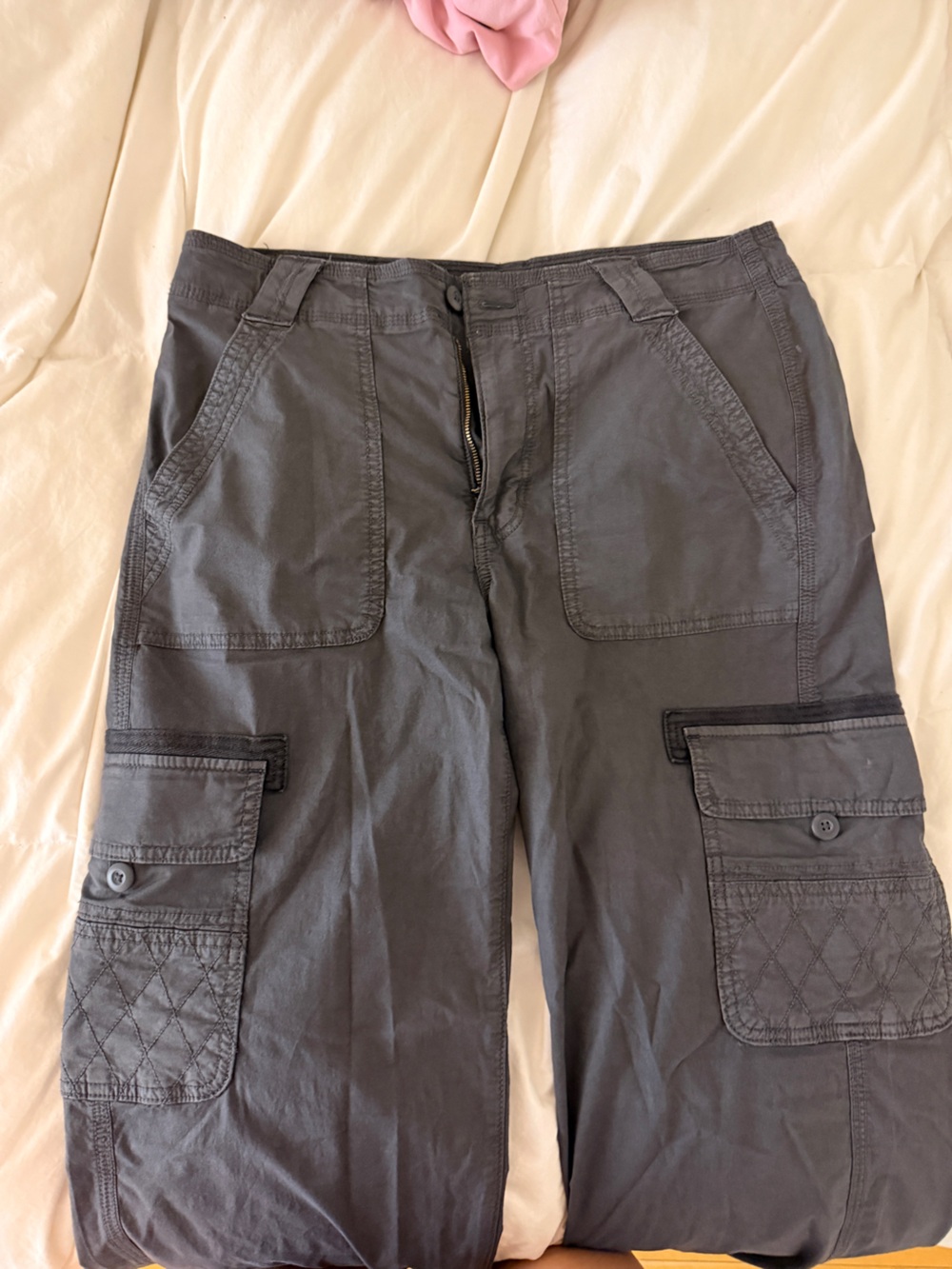 American Eagle Outfitters Dark Gray Cargo Pants